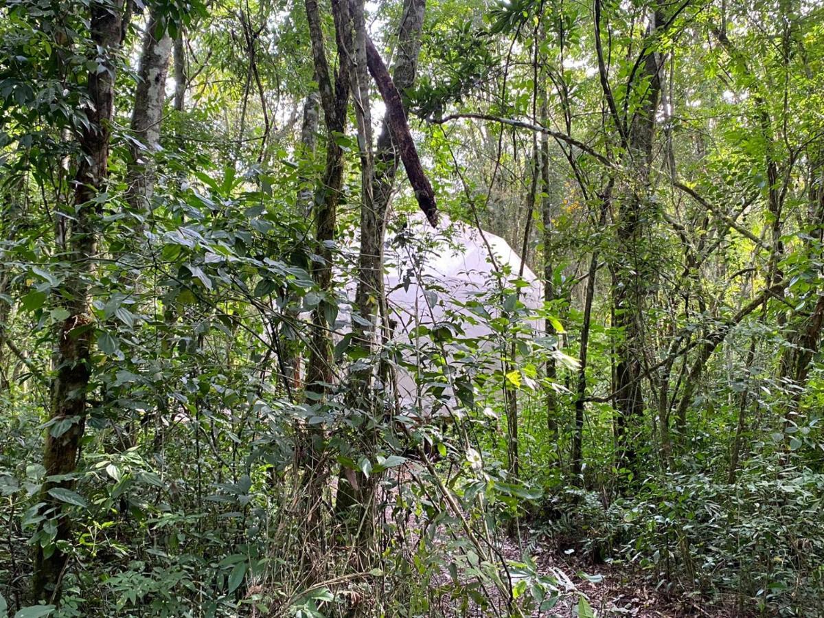 Reserva La Mision Mocona - Solo Adultos Saltos del Moconá Zewnętrze zdjęcie