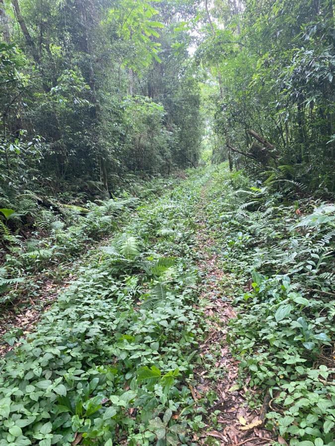 Reserva La Mision Mocona - Solo Adultos Saltos del Moconá Zewnętrze zdjęcie