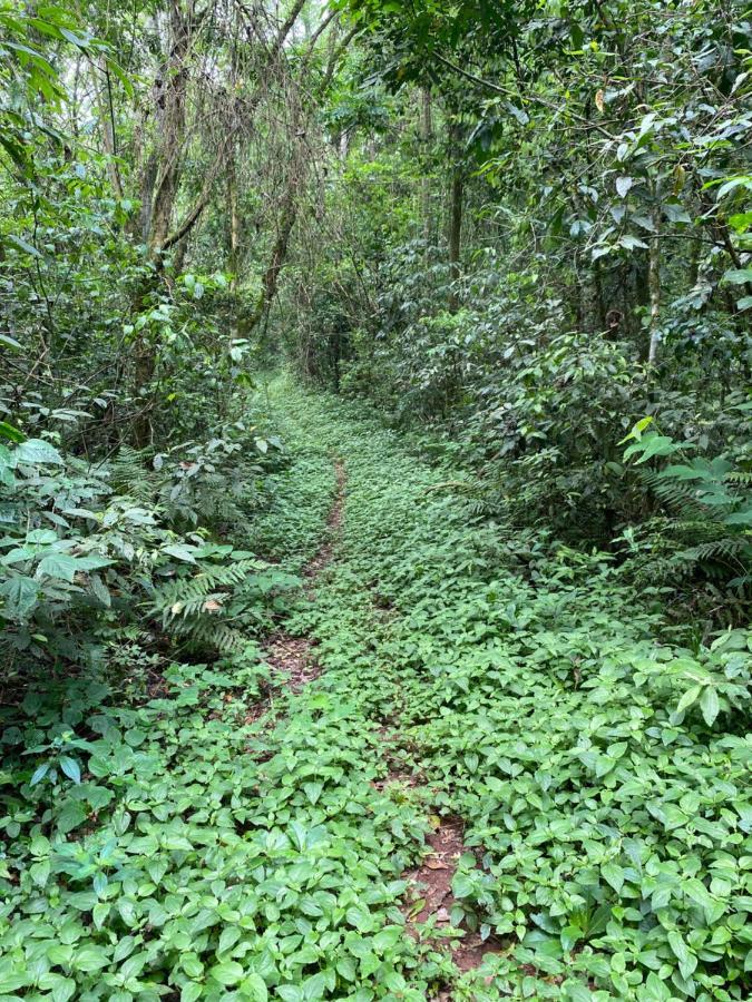 Reserva La Mision Mocona - Solo Adultos Saltos del Moconá Zewnętrze zdjęcie