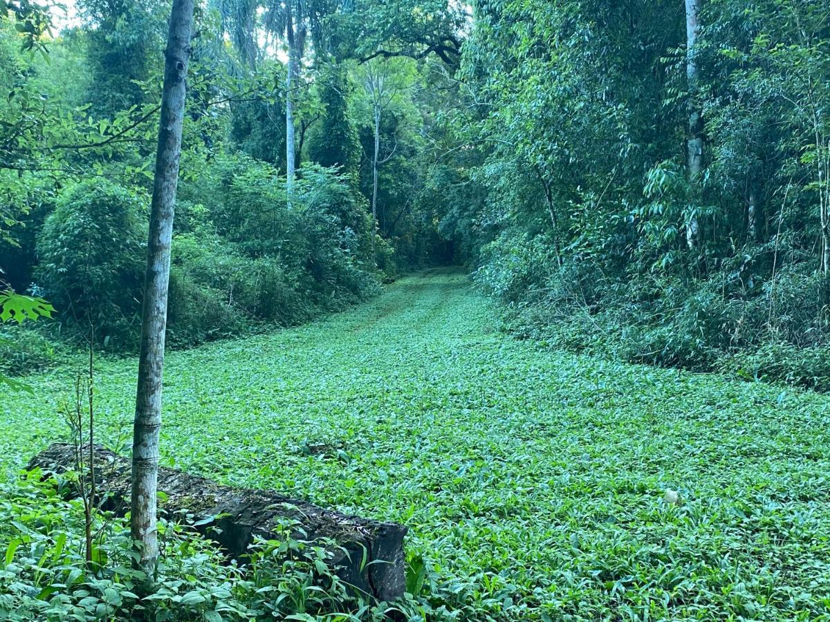 Reserva La Mision Mocona - Solo Adultos Saltos del Moconá Zewnętrze zdjęcie